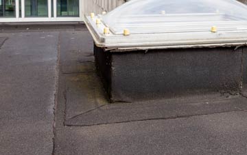 disadvantages of Lower Pitkerrie flat roofs