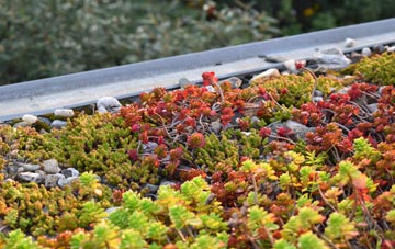 the cost of Lower Pitkerrie green roof installation