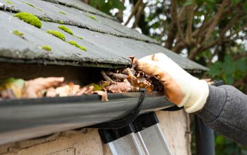 gutter cleaning Lower Pitkerrie, Highland