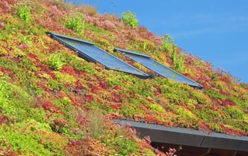 Lower Pitkerrie living roof systems