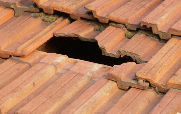 roof repair Lower Pitkerrie, Highland