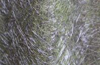 Lower Pitkerrie fibreglass roof work