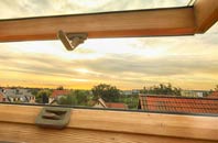 rated Lower Pitkerrie roof window companies